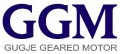 GGM Motors